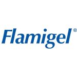 Logo Flamigel